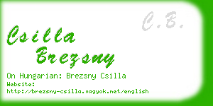 csilla brezsny business card